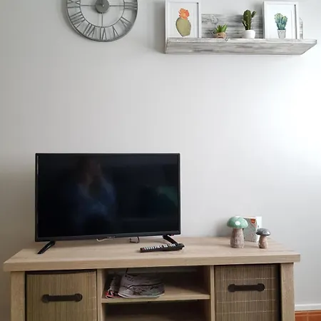 Serendipia