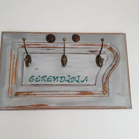 Serendipia